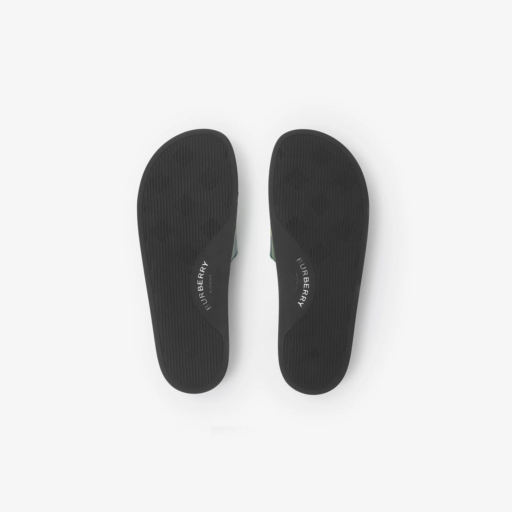 Check Slides