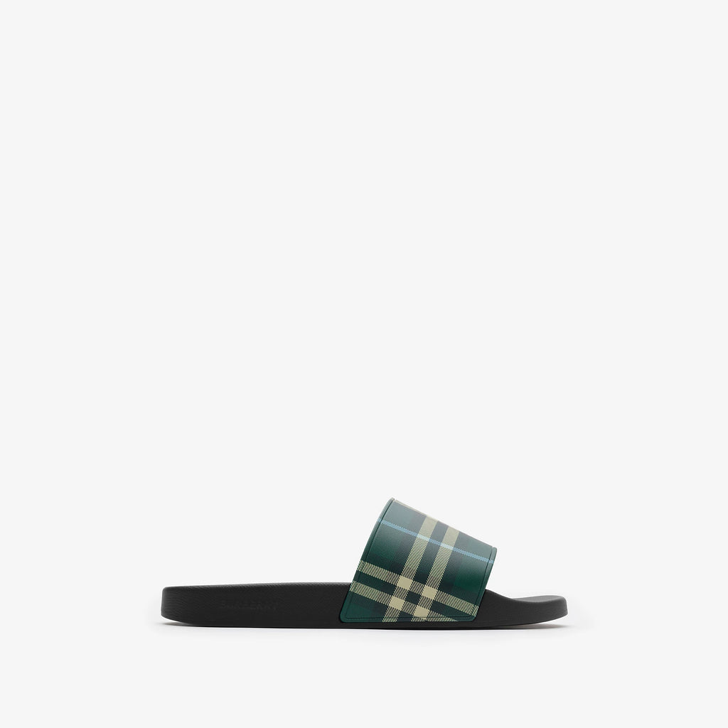 Check Slides